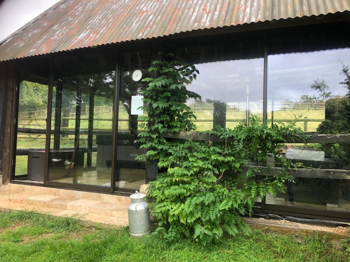 Le Champ Des Possibles Bed & Breakfast Manerbe Ngoại thất bức ảnh